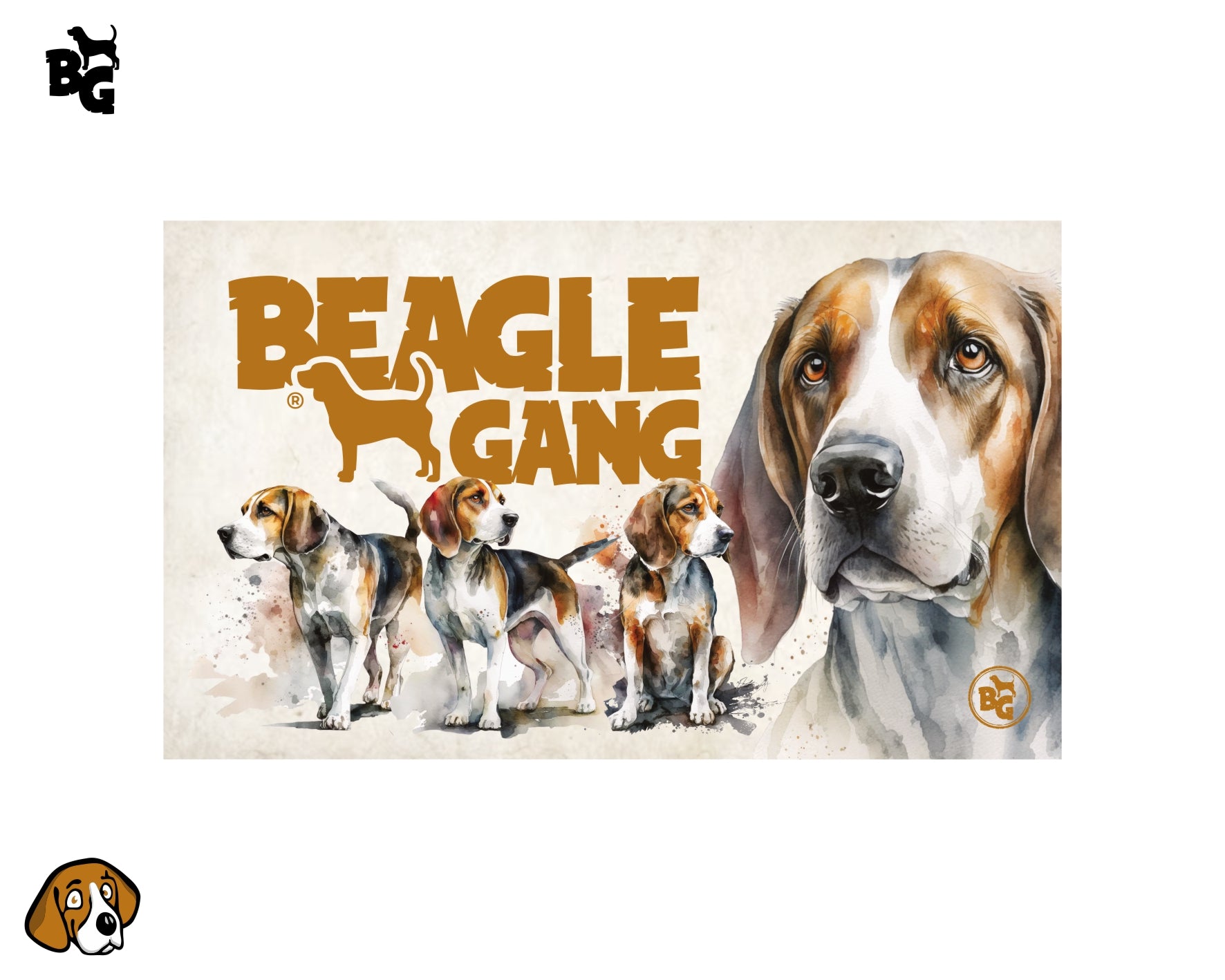 Beagle Gang Ručník 50x30 cm